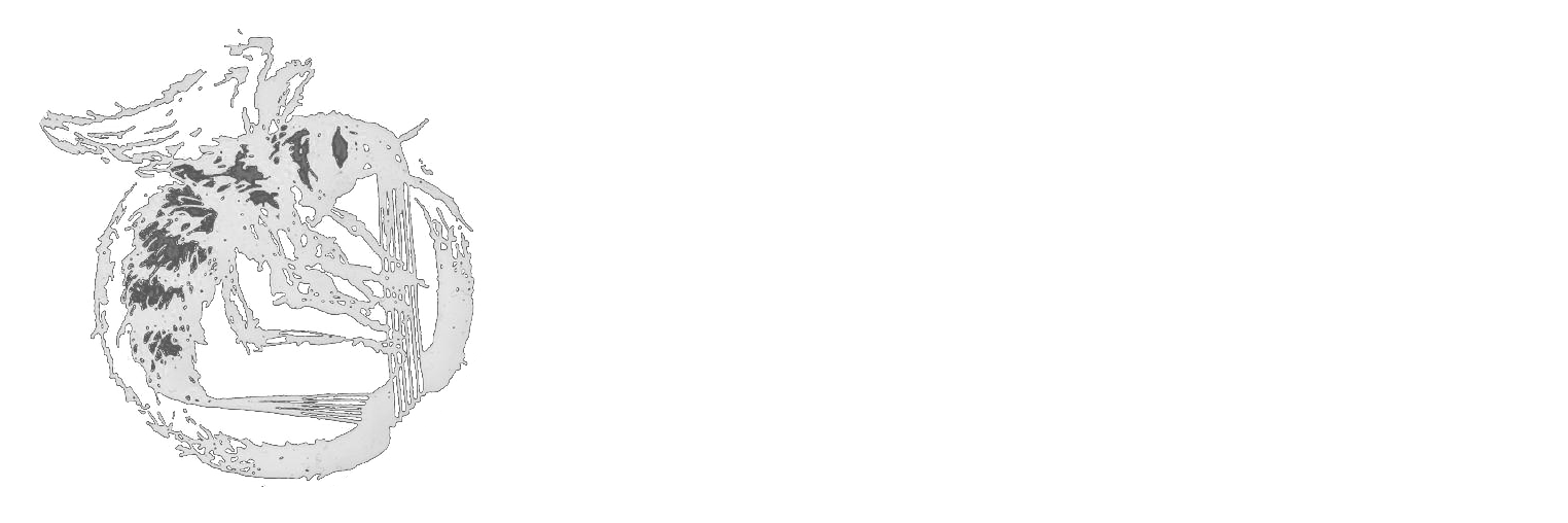 Studio The Buzzy